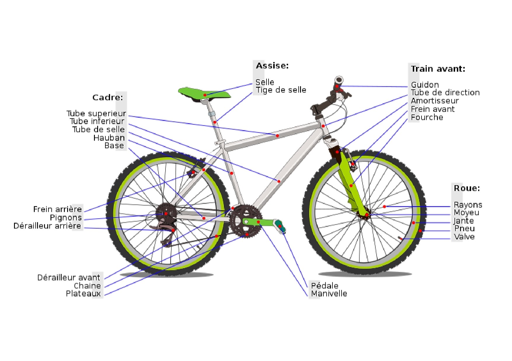 Composants d'un vélo