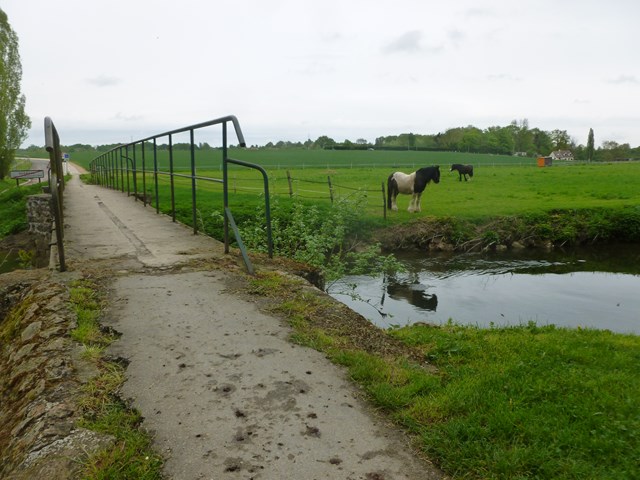 Et au milieu coule une rivière