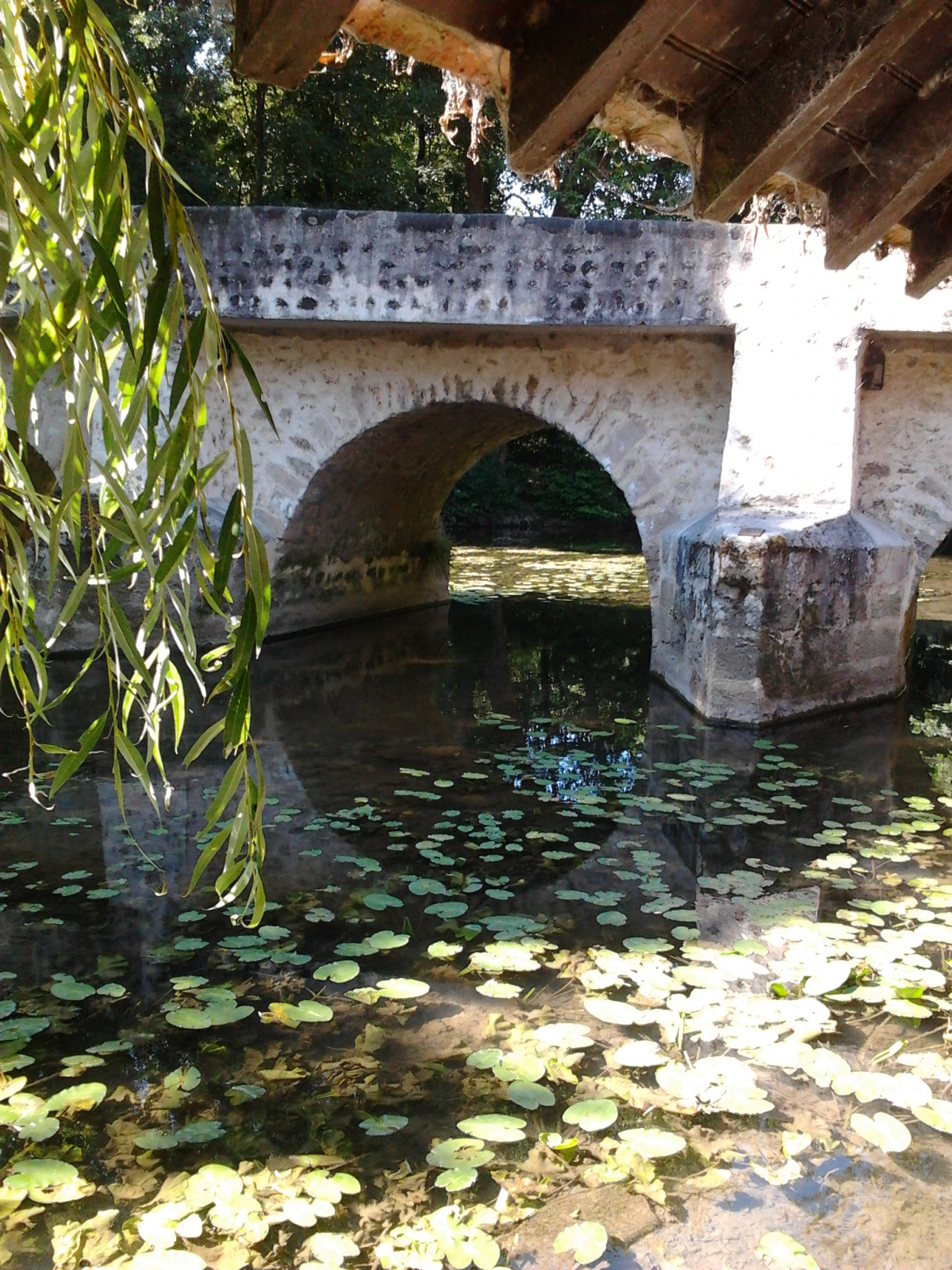 Périgny- Yerres (10)