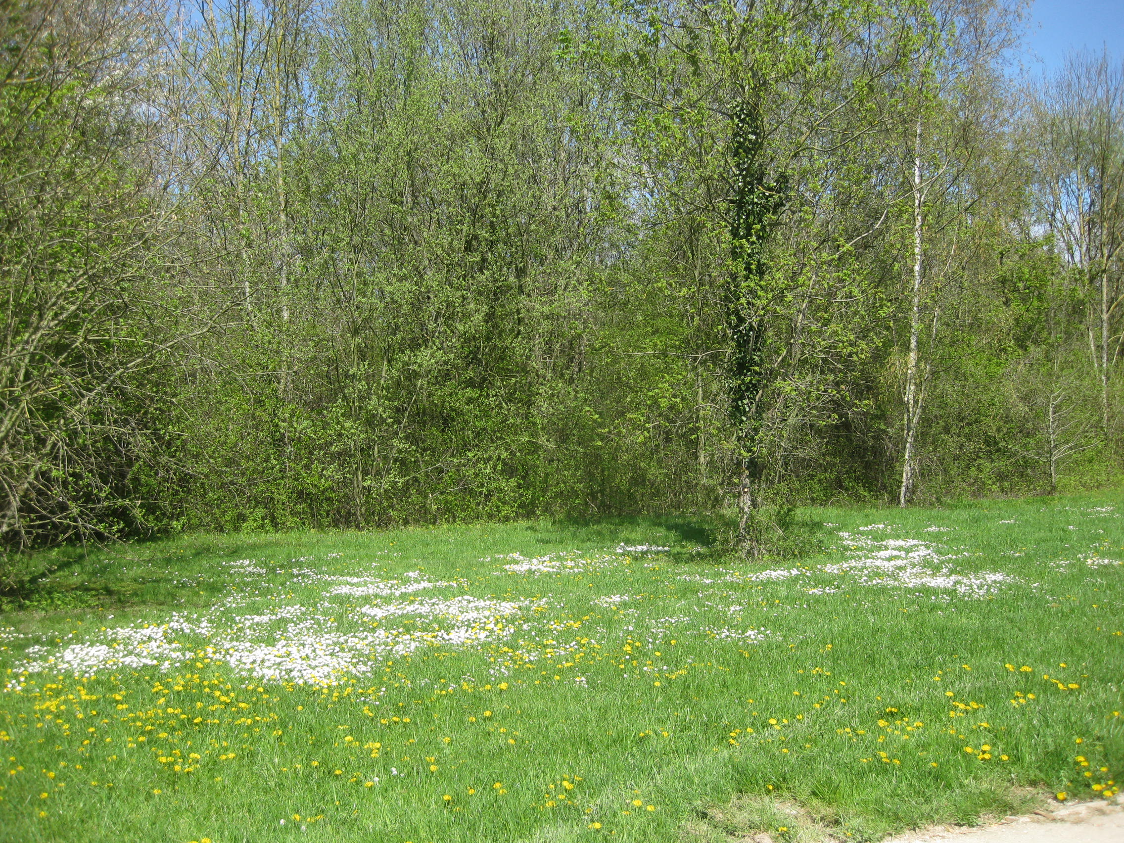 parc Dépt de la Haute Ile