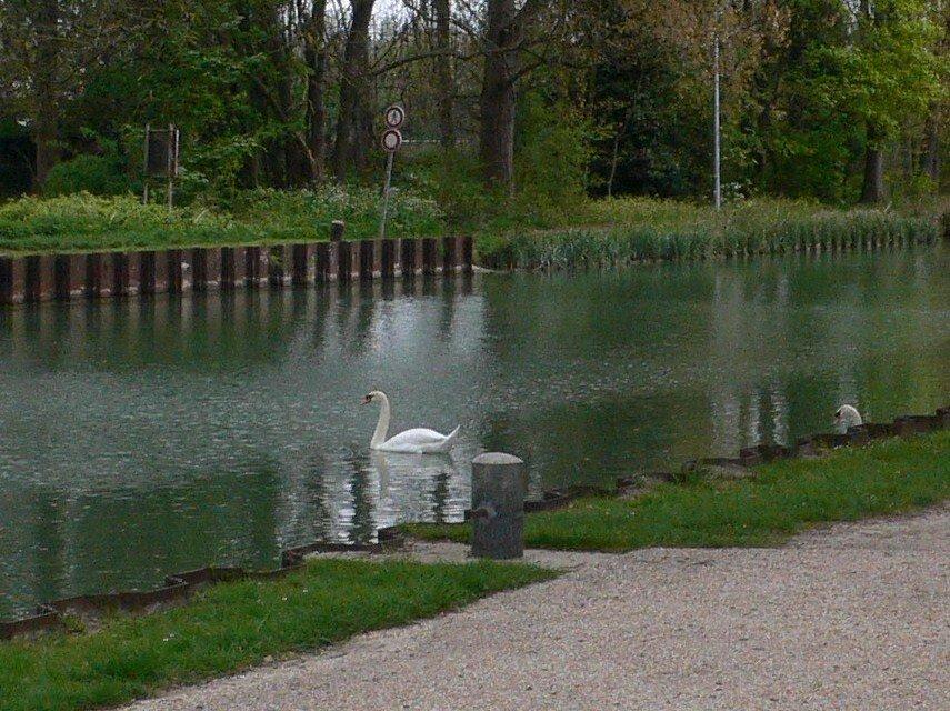 canal de Chelles