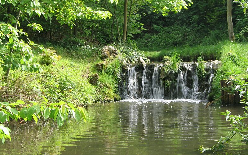 800px-bois_de_vincennes_printemps_2009_-_005