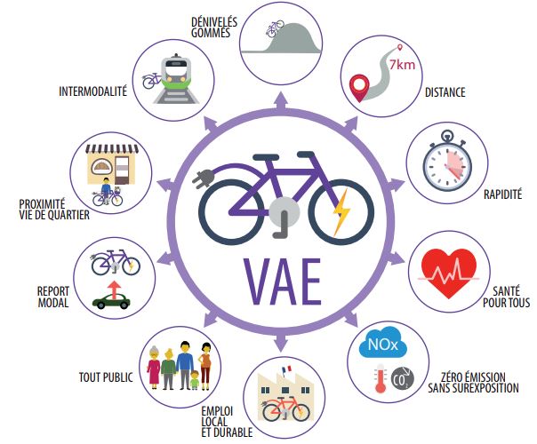 VAE2.JPG