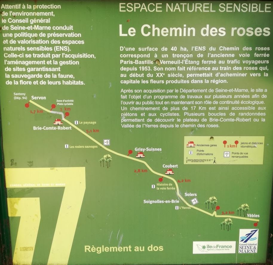 chemin des roses.JPG