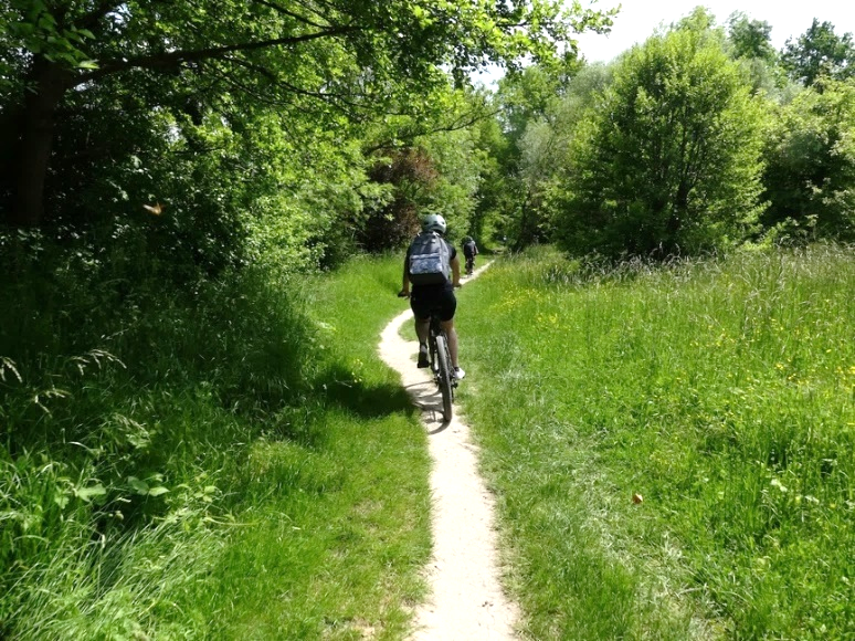 Un très fin sentier entre un champ et des buissons et arbres, un cyclistes de dos qui l'emprunte